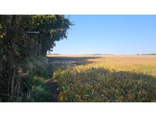 Property photo 57 - MAJOR LAND AUCTION - 701+/-ACRES OFFERED IN 23 TRACTS IN WILLIAMS COUNTY, OHIO