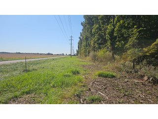 Property photo 58 - MAJOR LAND AUCTION - 701+/-ACRES OFFERED IN 23 TRACTS IN WILLIAMS COUNTY, OHIO