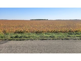 Property photo 121 - MAJOR LAND AUCTION - 701+/-ACRES OFFERED IN 23 TRACTS IN WILLIAMS COUNTY, OHIO
