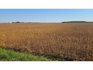 Property photo 59 - MAJOR LAND AUCTION - 701+/-ACRES OFFERED IN 23 TRACTS IN WILLIAMS COUNTY, OHIO
