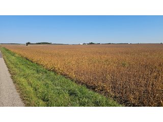 Property photo 125 - MAJOR LAND AUCTION - 701+/-ACRES OFFERED IN 23 TRACTS IN WILLIAMS COUNTY, OHIO