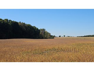Property photo 61 - MAJOR LAND AUCTION - 701+/-ACRES OFFERED IN 23 TRACTS IN WILLIAMS COUNTY, OHIO