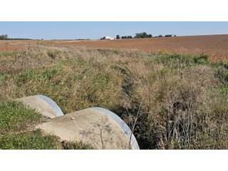 Property photo 62 - MAJOR LAND AUCTION - 701+/-ACRES OFFERED IN 23 TRACTS IN WILLIAMS COUNTY, OHIO