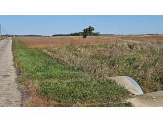 Property photo 126 - MAJOR LAND AUCTION - 701+/-ACRES OFFERED IN 23 TRACTS IN WILLIAMS COUNTY, OHIO