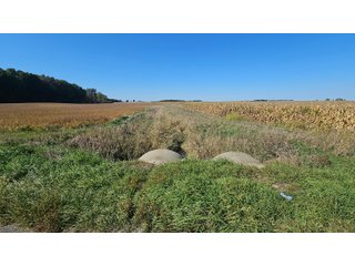 Property photo 64 - MAJOR LAND AUCTION - 701+/-ACRES OFFERED IN 23 TRACTS IN WILLIAMS COUNTY, OHIO