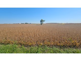 Property photo 65 - MAJOR LAND AUCTION - 701+/-ACRES OFFERED IN 23 TRACTS IN WILLIAMS COUNTY, OHIO