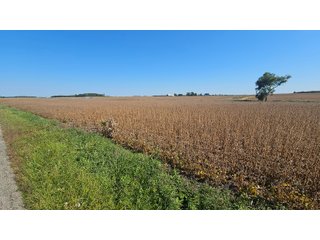 Property photo 66 - MAJOR LAND AUCTION - 701+/-ACRES OFFERED IN 23 TRACTS IN WILLIAMS COUNTY, OHIO