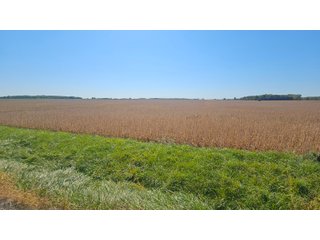 Property photo 68 - MAJOR LAND AUCTION - 701+/-ACRES OFFERED IN 23 TRACTS IN WILLIAMS COUNTY, OHIO