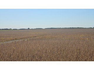 Property photo 69 - MAJOR LAND AUCTION - 701+/-ACRES OFFERED IN 23 TRACTS IN WILLIAMS COUNTY, OHIO