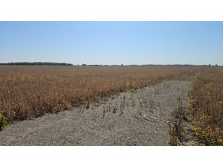 Property photo 70 - MAJOR LAND AUCTION - 701+/-ACRES OFFERED IN 23 TRACTS IN WILLIAMS COUNTY, OHIO