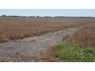 Property photo 72 - MAJOR LAND AUCTION - 701+/-ACRES OFFERED IN 23 TRACTS IN WILLIAMS COUNTY, OHIO