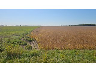 Property photo 74 - MAJOR LAND AUCTION - 701+/-ACRES OFFERED IN 23 TRACTS IN WILLIAMS COUNTY, OHIO