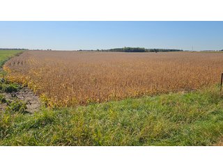Property photo 75 - MAJOR LAND AUCTION - 701+/-ACRES OFFERED IN 23 TRACTS IN WILLIAMS COUNTY, OHIO