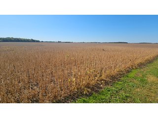 Property photo 76 - MAJOR LAND AUCTION - 701+/-ACRES OFFERED IN 23 TRACTS IN WILLIAMS COUNTY, OHIO