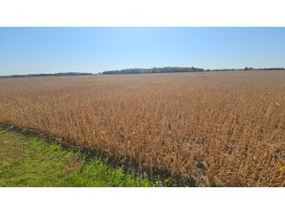 Property photo 77 - MAJOR LAND AUCTION - 701+/-ACRES OFFERED IN 23 TRACTS IN WILLIAMS COUNTY, OHIO