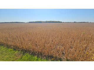 Property photo 79 - MAJOR LAND AUCTION - 701+/-ACRES OFFERED IN 23 TRACTS IN WILLIAMS COUNTY, OHIO