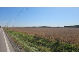 Property photo 128 - MAJOR LAND AUCTION - 701+/-ACRES OFFERED IN 23 TRACTS IN WILLIAMS COUNTY, OHIO