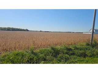 Property photo 85 - MAJOR LAND AUCTION - 701+/-ACRES OFFERED IN 23 TRACTS IN WILLIAMS COUNTY, OHIO