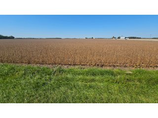 Property photo 89 - MAJOR LAND AUCTION - 701+/-ACRES OFFERED IN 23 TRACTS IN WILLIAMS COUNTY, OHIO