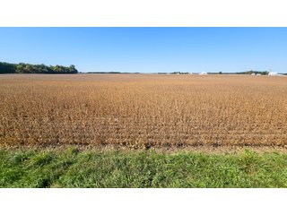 Property photo 90 - MAJOR LAND AUCTION - 701+/-ACRES OFFERED IN 23 TRACTS IN WILLIAMS COUNTY, OHIO