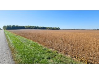 Property photo 91 - MAJOR LAND AUCTION - 701+/-ACRES OFFERED IN 23 TRACTS IN WILLIAMS COUNTY, OHIO
