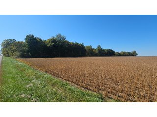 Property photo 93 - MAJOR LAND AUCTION - 701+/-ACRES OFFERED IN 23 TRACTS IN WILLIAMS COUNTY, OHIO