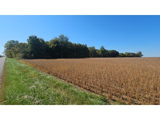 Property photo 94 - MAJOR LAND AUCTION - 701+/-ACRES OFFERED IN 23 TRACTS IN WILLIAMS COUNTY, OHIO