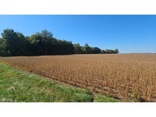 Property photo 95 - MAJOR LAND AUCTION - 701+/-ACRES OFFERED IN 23 TRACTS IN WILLIAMS COUNTY, OHIO