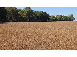 Property photo 96 - MAJOR LAND AUCTION - 701+/-ACRES OFFERED IN 23 TRACTS IN WILLIAMS COUNTY, OHIO
