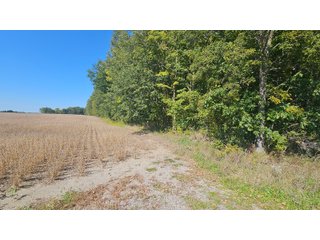 Property photo 97 - MAJOR LAND AUCTION - 701+/-ACRES OFFERED IN 23 TRACTS IN WILLIAMS COUNTY, OHIO
