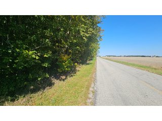 Property photo 129 - MAJOR LAND AUCTION - 701+/-ACRES OFFERED IN 23 TRACTS IN WILLIAMS COUNTY, OHIO