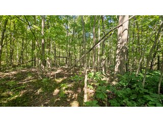 Property photo 112 - MAJOR LAND AUCTION - 701+/-ACRES OFFERED IN 23 TRACTS IN WILLIAMS COUNTY, OHIO