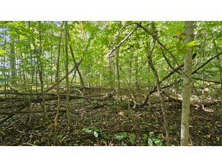 Property photo 113 - MAJOR LAND AUCTION - 701+/-ACRES OFFERED IN 23 TRACTS IN WILLIAMS COUNTY, OHIO