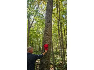 Property photo 110 - MAJOR LAND AUCTION - 701+/-ACRES OFFERED IN 23 TRACTS IN WILLIAMS COUNTY, OHIO