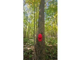 Property photo 109 - MAJOR LAND AUCTION - 701+/-ACRES OFFERED IN 23 TRACTS IN WILLIAMS COUNTY, OHIO