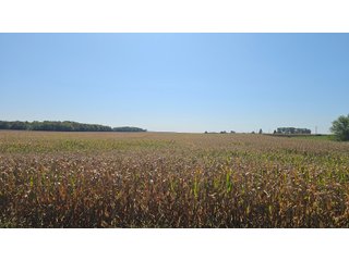 Property photo 98 - MAJOR LAND AUCTION - 701+/-ACRES OFFERED IN 23 TRACTS IN WILLIAMS COUNTY, OHIO