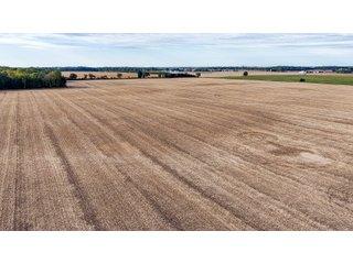 Property photo 7 - MAJOR LAND AUCTION - 701+/-ACRES OFFERED IN 23 TRACTS IN WILLIAMS COUNTY, OHIO