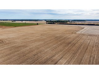 Property photo 8 - MAJOR LAND AUCTION - 701+/-ACRES OFFERED IN 23 TRACTS IN WILLIAMS COUNTY, OHIO