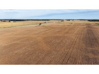 Property photo 10 - MAJOR LAND AUCTION - 701+/-ACRES OFFERED IN 23 TRACTS IN WILLIAMS COUNTY, OHIO