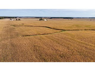 Property photo 13 - MAJOR LAND AUCTION - 701+/-ACRES OFFERED IN 23 TRACTS IN WILLIAMS COUNTY, OHIO