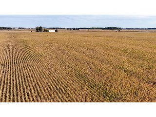 Property photo 14 - MAJOR LAND AUCTION - 701+/-ACRES OFFERED IN 23 TRACTS IN WILLIAMS COUNTY, OHIO