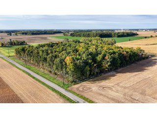Property photo 16 - MAJOR LAND AUCTION - 701+/-ACRES OFFERED IN 23 TRACTS IN WILLIAMS COUNTY, OHIO