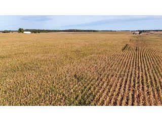 Property photo 18 - MAJOR LAND AUCTION - 701+/-ACRES OFFERED IN 23 TRACTS IN WILLIAMS COUNTY, OHIO