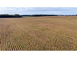 Property photo 22 - MAJOR LAND AUCTION - 701+/-ACRES OFFERED IN 23 TRACTS IN WILLIAMS COUNTY, OHIO