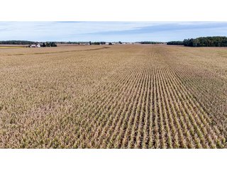 Property photo 30 - MAJOR LAND AUCTION - 701+/-ACRES OFFERED IN 23 TRACTS IN WILLIAMS COUNTY, OHIO