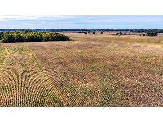 Property photo 34 - MAJOR LAND AUCTION - 701+/-ACRES OFFERED IN 23 TRACTS IN WILLIAMS COUNTY, OHIO