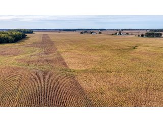 Property photo 36 - MAJOR LAND AUCTION - 701+/-ACRES OFFERED IN 23 TRACTS IN WILLIAMS COUNTY, OHIO