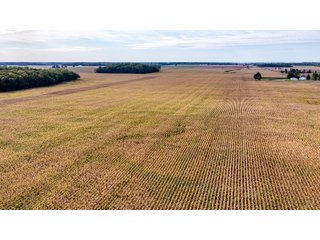 Property photo 37 - MAJOR LAND AUCTION - 701+/-ACRES OFFERED IN 23 TRACTS IN WILLIAMS COUNTY, OHIO