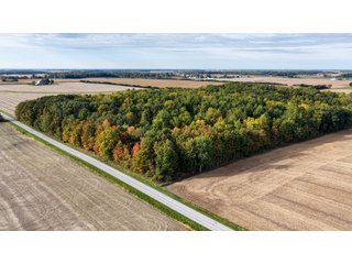 Property photo 40 - MAJOR LAND AUCTION - 701+/-ACRES OFFERED IN 23 TRACTS IN WILLIAMS COUNTY, OHIO