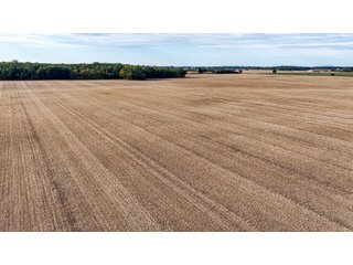 Property photo 42 - MAJOR LAND AUCTION - 701+/-ACRES OFFERED IN 23 TRACTS IN WILLIAMS COUNTY, OHIO